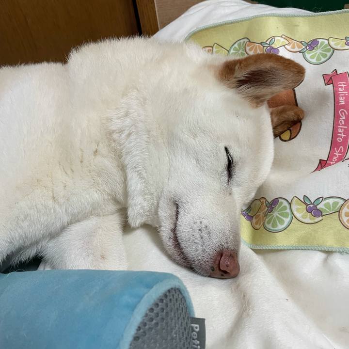 9b7d4e31 29f0 4409 80cf 35e00b5544b9 1634099867923