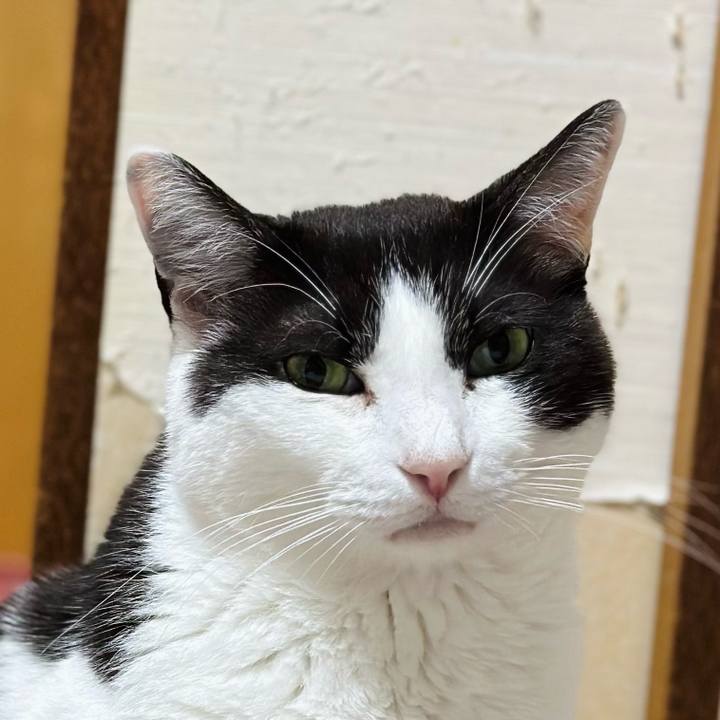 9b7db31d f895 4478 a1b0 a5a446ada60f 1685409903055