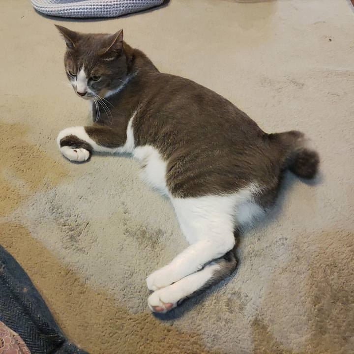 9b7dc185 6f78 4c9a b845 e97552f15055 1665006807129