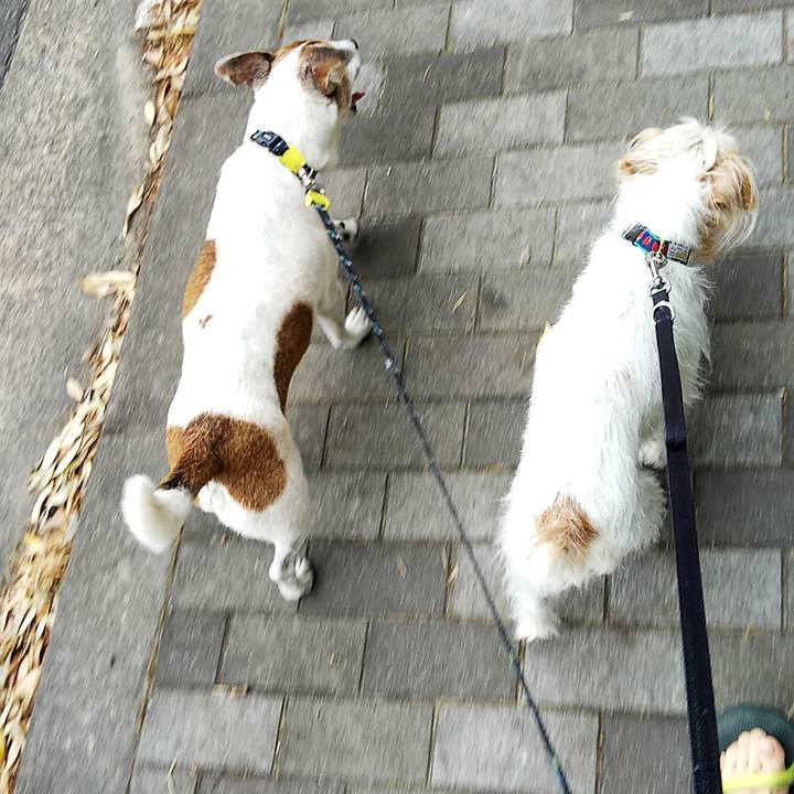 9b7df7fb be09 4c03 9fe0 ec346dbc7605 1559454170862