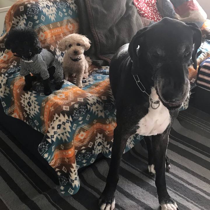 9b7e3e9d a9eb 47d1 9853 a75132dc1d7d 1540248173317