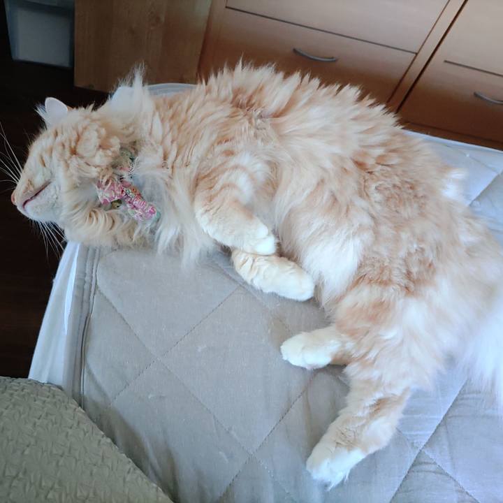 9b7e4517 53d4 451c 9e3b 950859d76858 1686970682131