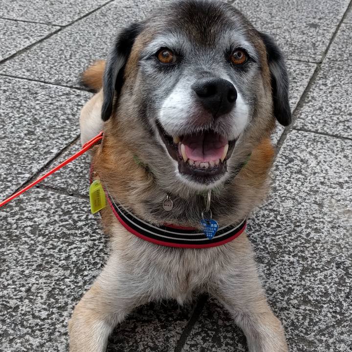 9b7e62d8 2c0a 478d b462 8005b083b5c3 1536189271798