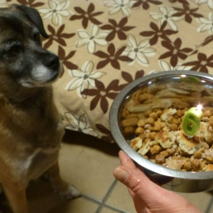 9b7e6a25 4754 4f49 8fb8 2e34f51eeedb 1579392434139