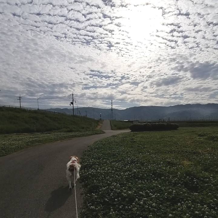 9b7e75bc db4f 421d 93ee c19a83105110 1589500903364