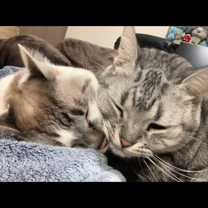 9b7e9d40 a39d 496a bbaf 00a092f45eee 1611735899055