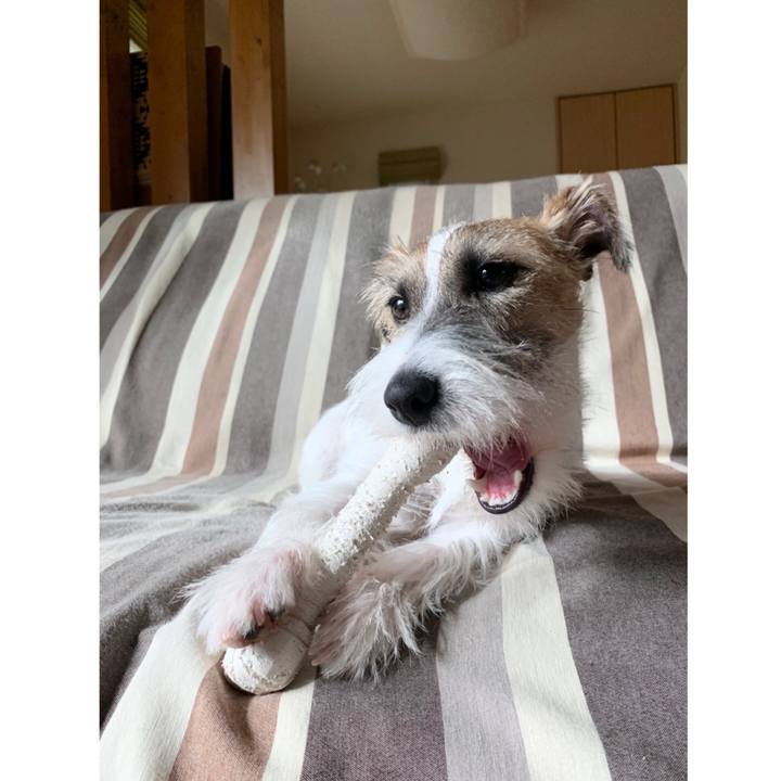 9b7f026c ad32 4654 9905 7c22e4975f57 1573610677980