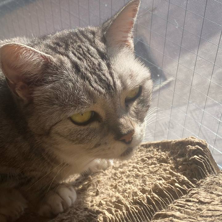 9b7f0fd2 4d7e 45e4 bf69 a16bb9b4face 1731121353381