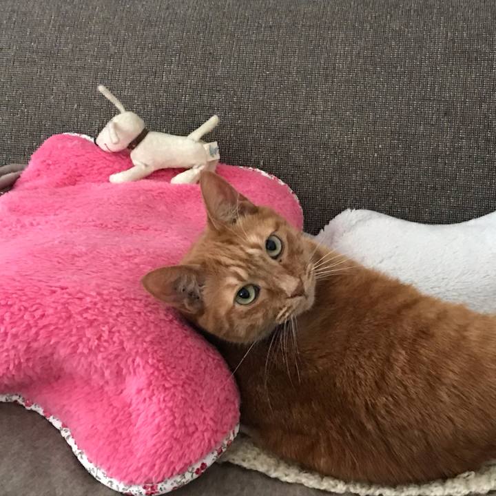 9b7f2d00 7ff3 4fea 9da2 a32189b6bffb 1577022753041