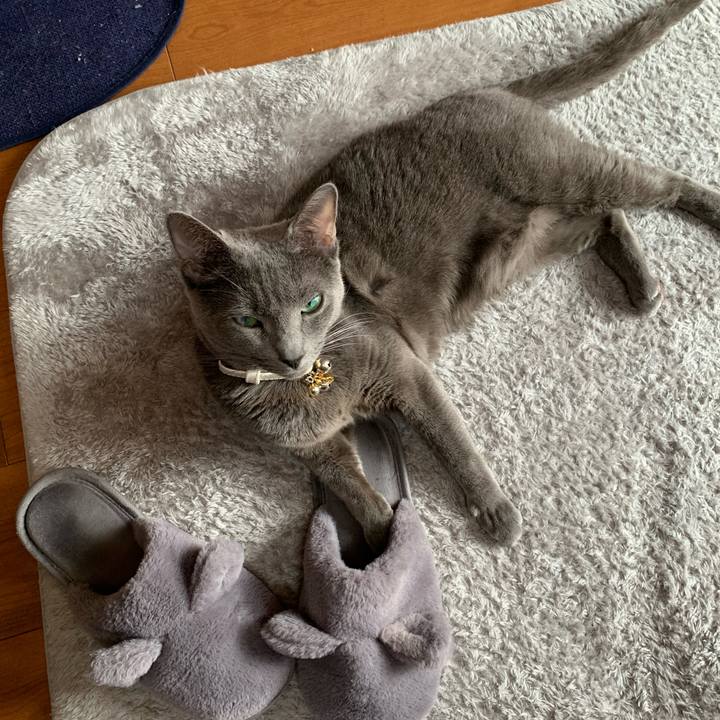 9b7f3106 9c4f 49c5 b68b 80dbf0e3d493 1678246375509