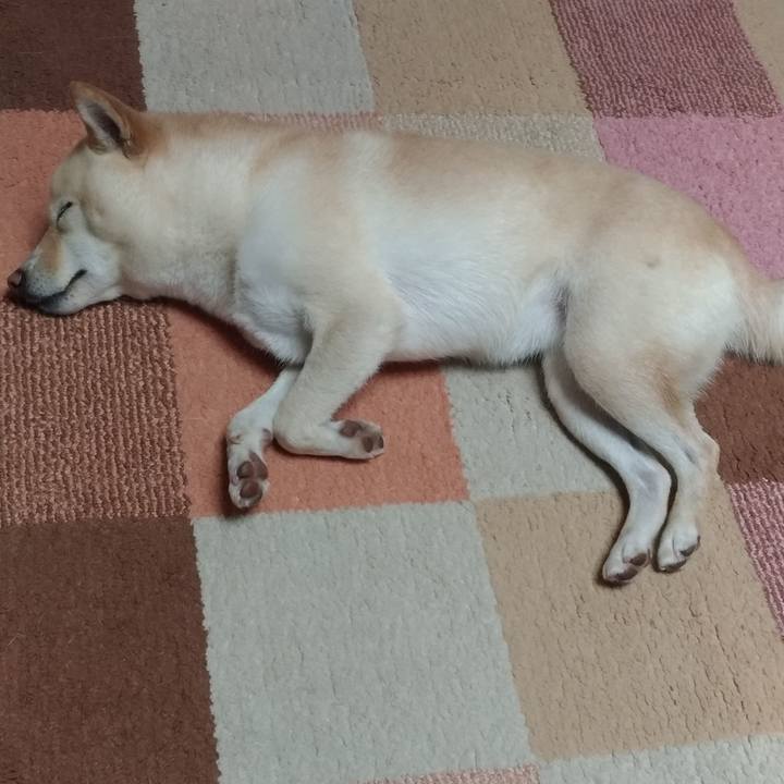 9b7f8790 605b 4b67 a5cb e4ee52a8017f 1574591919613