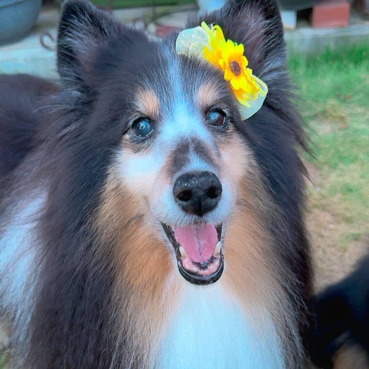 9b7f9bd6 a70e 4510 9e00 d667aa007749 1754679467500