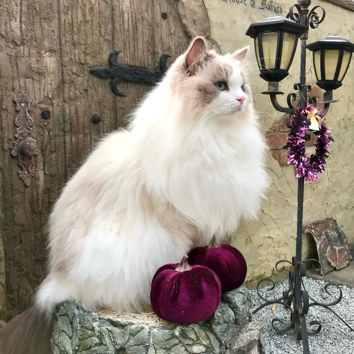 9b7fa751 f1c9 4979 8069 c625f3a76f2e 1728805544878