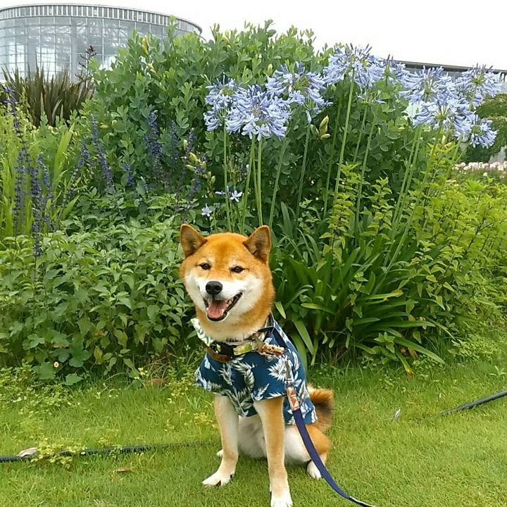 9b7fc652 809b 4302 926d bdda218d425f 1561881039549