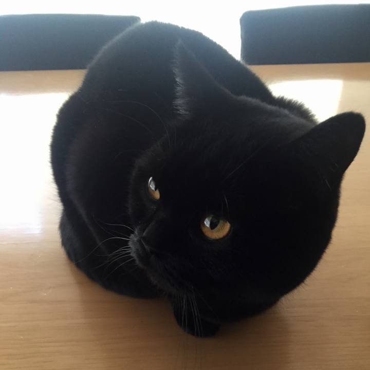 9b7fe48a ab84 47cd 992b d2131c25f5e8 1546815251339