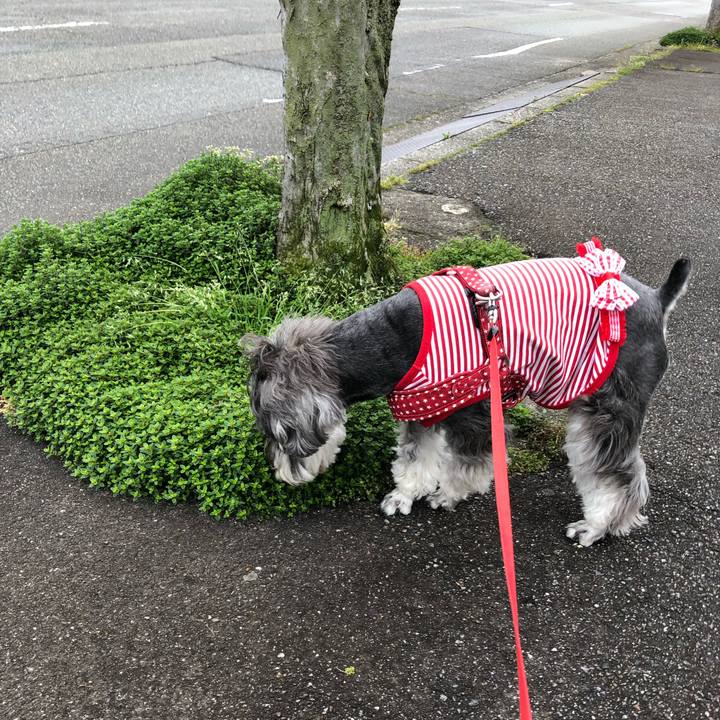 9b800a96 841a 4f36 8b34 72619539e3c3 1556667220928