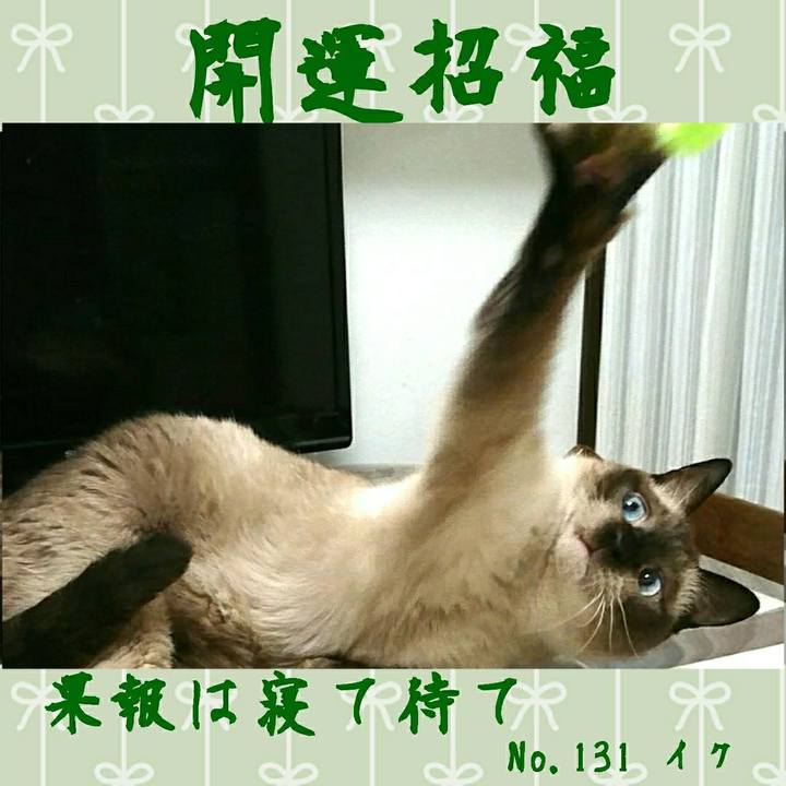 9b804239 03d4 4043 8130 7f1979667908 1538223198351