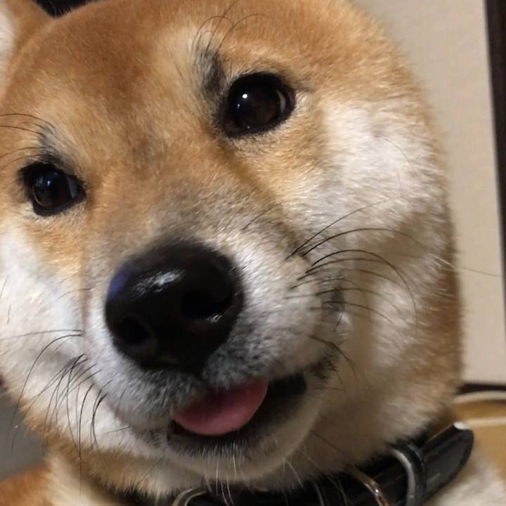 9b8047e4 a999 42a1 8197 3fc509e3d8db 1513755558643