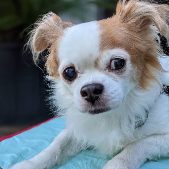 9b8074b6 8443 48a0 92ce 191e19b74ee5 1632125632207