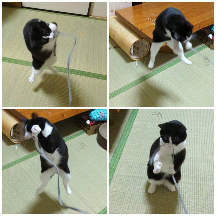 9b80e728 4aee 4849 b8d3 3b99fe613fb7 1691120724251