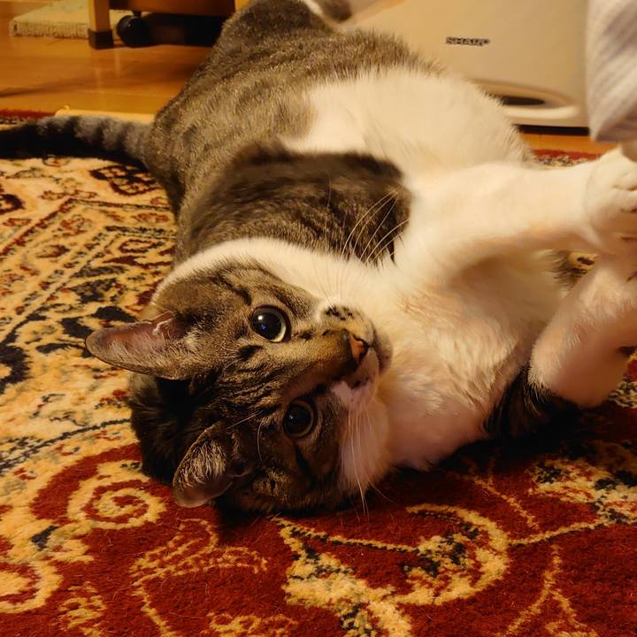 9b810468 1287 4aa3 9d20 7665edb92914 1645013560854