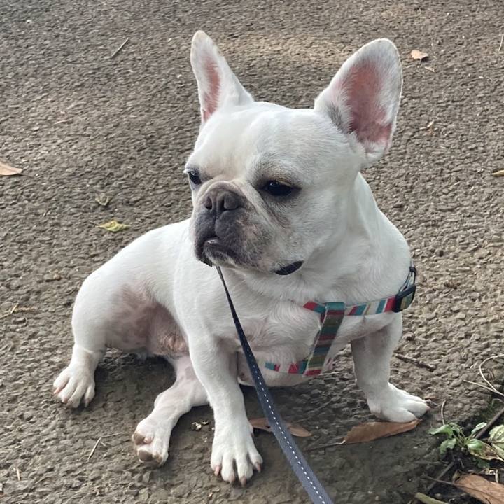 9b81064e 1f46 4aca a969 e405b184ab50 1655367339145