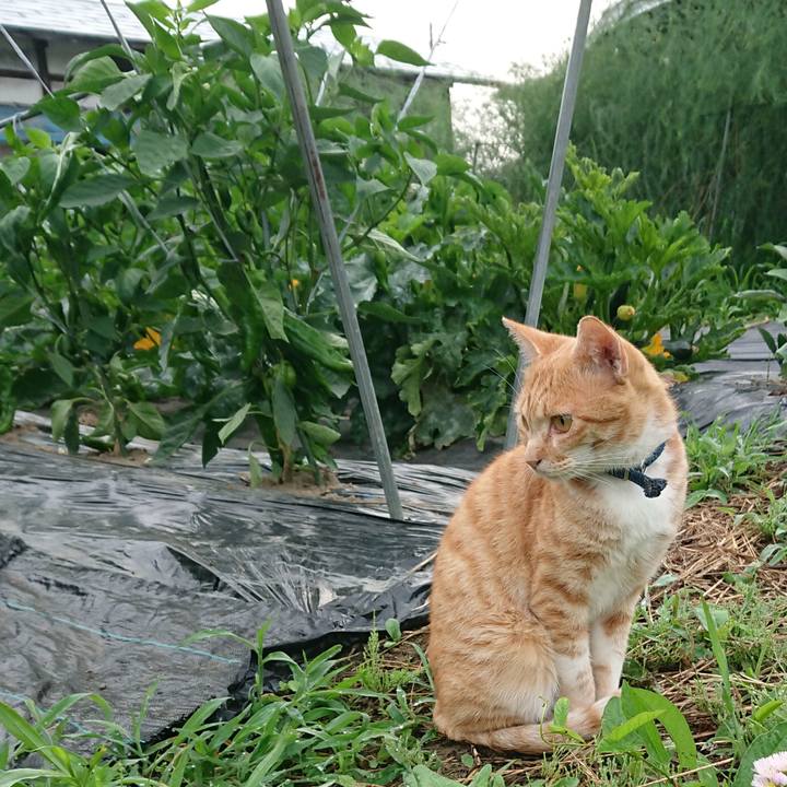 9b813ff3 99b8 4be9 93be 66d962c74420 1563397365284