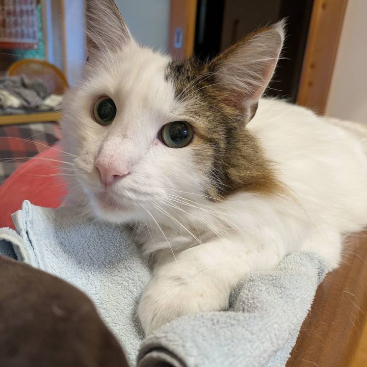 9b81589e 8102 4da8 a3db 67f4b18e999a 1762517882097