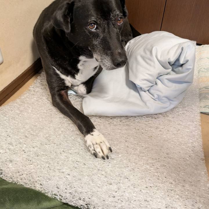 9b816124 7824 4c68 9cd9 ca130df36e95 1751500429586