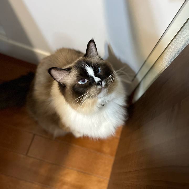 9b817933 e6b8 4cac bdbd 13cdcb03ae82 1658646661734