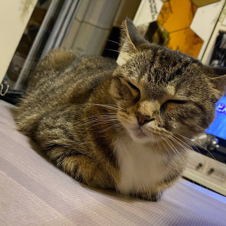 9b81a974 ddc9 4be3 bff1 85cd88a7eca8 1631190523966