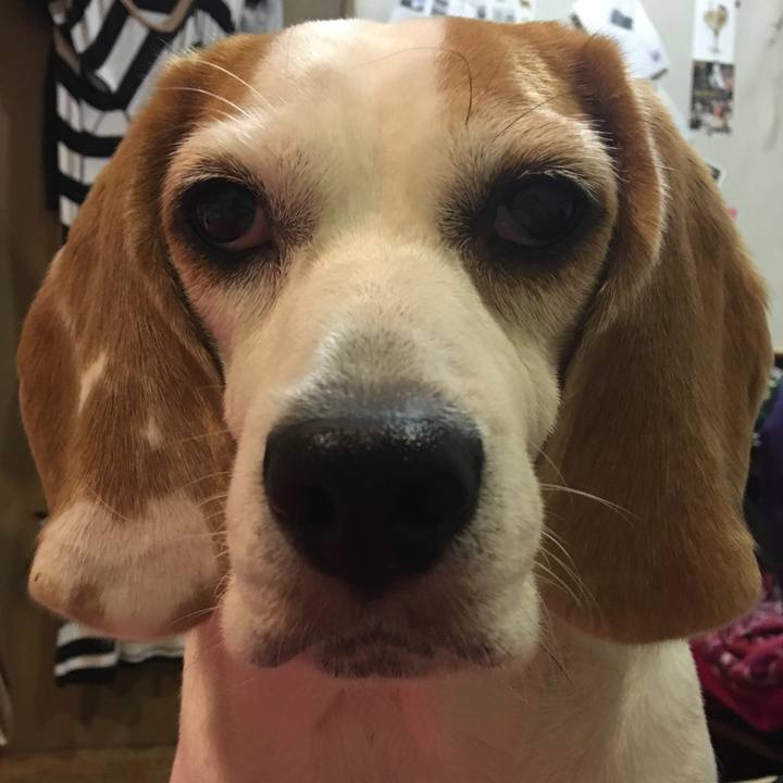 9b81ada5 2753 4d5b 811c 06c8b061aab6 1534850356375