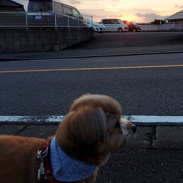 9b81ce0e 0df1 4df7 b40a e6bb69794b6c 1630015483448