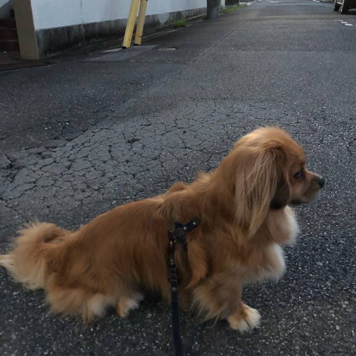 9b81e637 8be9 428a 91eb 345d6bdb3659 1532116760341