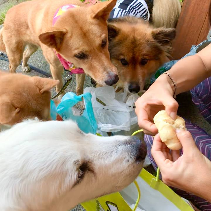 9b81fd6c 38c6 4343 91d3 df89eec52626 1564800004625