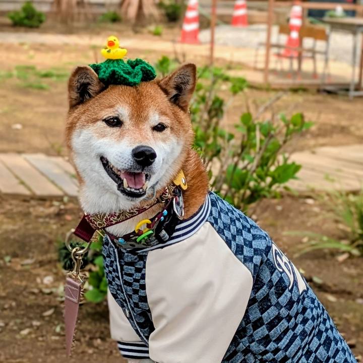 9b823ea8 7c2f 4c7c 9c25 29a3fc87bed7 1744628640387