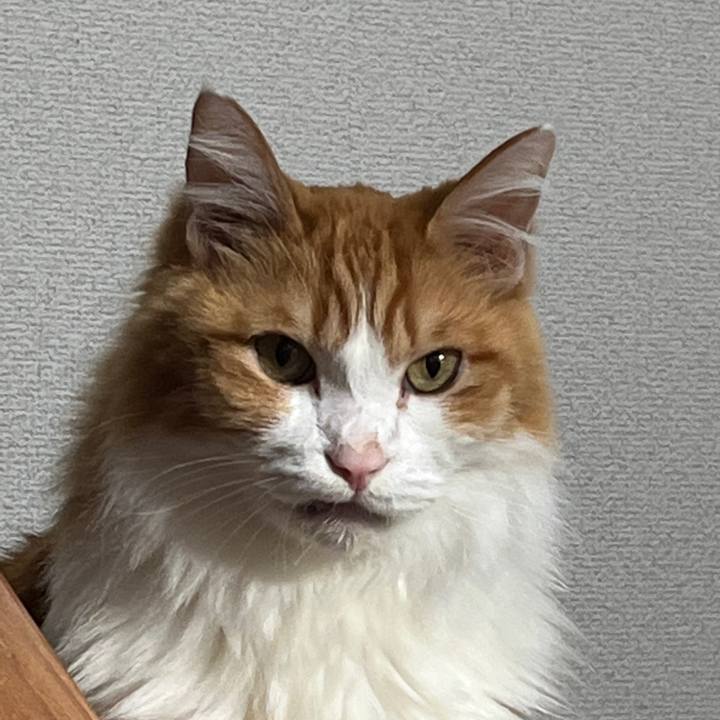 9b82964f 4dbe 49ed b493 2dd923c9cf96 1635747126647