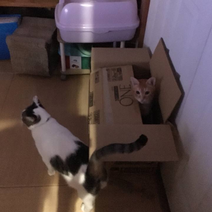 9b829694 d07b 4ee2 b1d5 6a03da990023 1531060427273