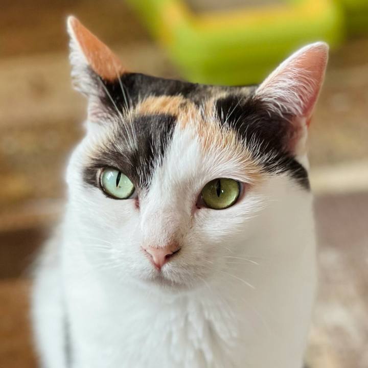 9b82c7b3 156d 4b2a aeb6 2912f1c004d8 1627345165714