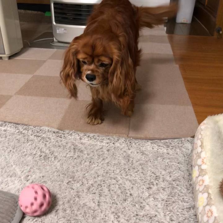 9b83095f 2b47 430a 93e7 3839bc5f7ca3 1648074475674