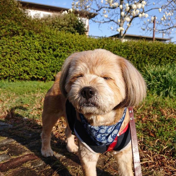 9b8315db 9eba 4f54 9b06 0f950a0080b6 1614991610287