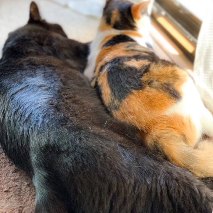 9b833b96 673b 44da 8a13 ba421f475888 1601864073835