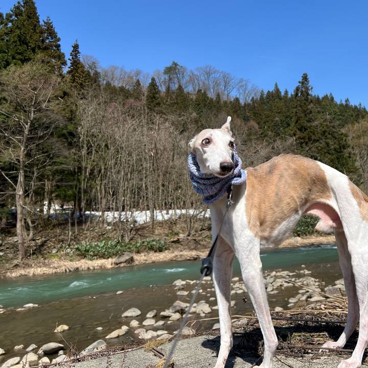 9b834ca4 7015 404f ad6c 34ec4119c9e5 1776241591672