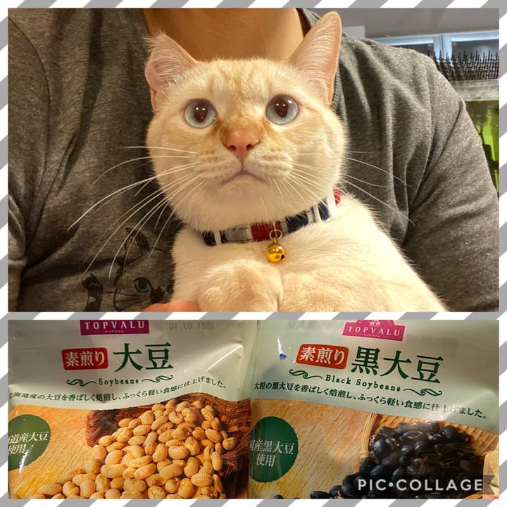 9b835cec 0a2a 455b b495 d521f725582e 1612309053359