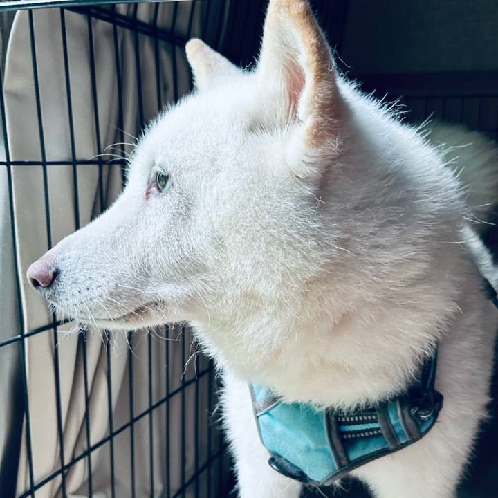 9b836ae6 fc09 440d aa29 50f644f43c55 1755899182348