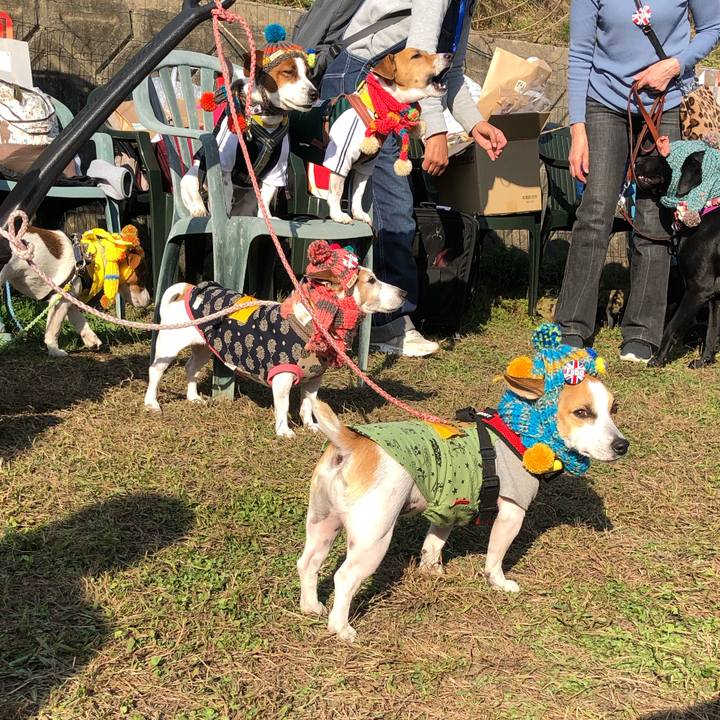 9b83700e 5436 46c9 bd38 2069e0891476 1574604997060