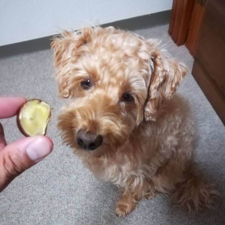 9b8378f5 eac6 42bd 8748 e87e8784b95f 1568931048498