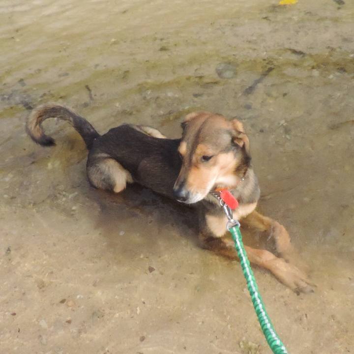 9b838cd6 a02d 44d7 ab66 4489dd8b8088 1513248606258