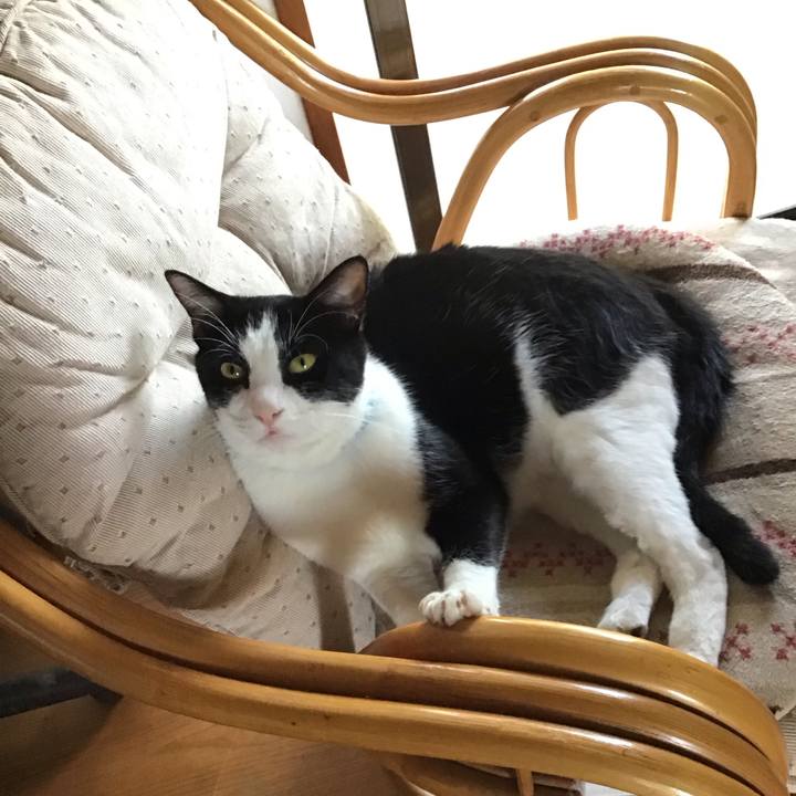 9b83a245 f12e 4b3a 8c7d 2df0f0fe1356 1690956252044