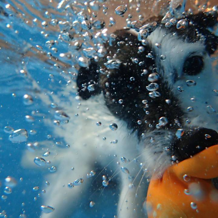 9b83db3a c42e 43fd a3f3 9d9b654f71bd 1521812909598